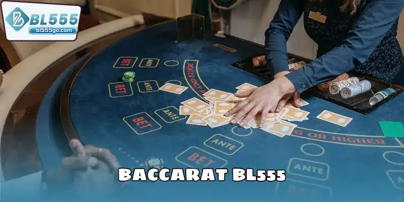 baccarat-bl555